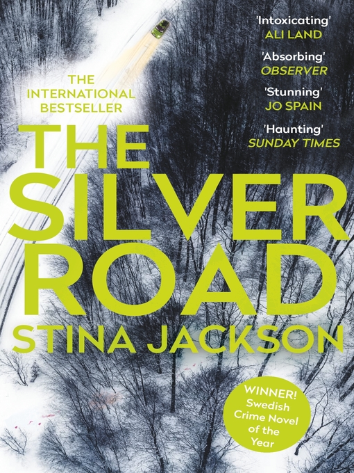Cover image for The Silver Road